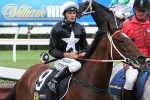 Tattersall’s Cup favourite Tucanchoo on hit and run mission Tattersall’s Cup favourite Tucanchoo on hit and run mission