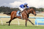 2016 Melbourne Cup the Target for Almoonqith 2016 Melbourne Cup the Target for Almoonqith