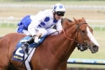 Theanswermyfriend doesn’t have to face the wind in the Sir Rupert Clarke Stakes