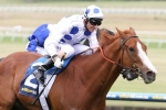 Williams booked for Charmed Harmony in Bletchingly Stakes Williams booked for Charmed Harmony in Bletchingly Stakes