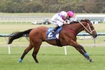 Famous Seamus Returns To Winning Form In Kevin Heffernan Stakes Famous Seamus Returns To Winning Form In Kevin Heffernan Stakes