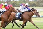 Australian Oaks The Long-Term Goal For Indarra