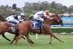 Jackson Scores Debut Win In Merson Cooper Stakes