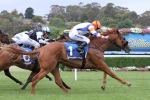 Jackson Scores Debut Win In Merson Cooper Stakes Jackson Scores Debut Win In Merson Cooper Stakes