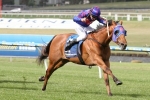 Mahuta Narrow Favourite In Magic Millions Guineas Betting