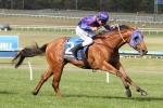 Capacity Magic Millions Guineas Field Released Capacity Magic Millions Guineas Field Released