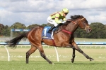 Winx On Top Of Guy Walter Stakes Nominations Winx On Top Of Guy Walter Stakes Nominations