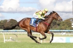 Doncaster Mile an option for Emancipation Stakes favourite Solicit Doncaster Mile an option for Emancipation Stakes favourite Solicit