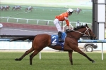 No Almandin in Zipping Classic causes market reshuffle No Almandin in Zipping Classic causes market reshuffle