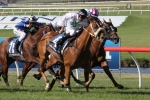 Laming Rates Refectory’s Adelaide Cup Chances