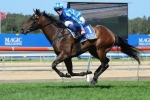 Sheer Style Magic Millions Classic Odds Lengthen