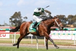 Victoria Derby Next for Geelong Classic Winner Captain Duffy