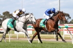 Grey Lion On Track for Easter Cup Return