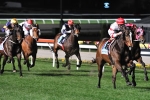 Gold Coast Turf Club Proposes Night Racing Gold Coast Turf Club Proposes Night Racing