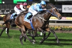 Rodd Warns Punters Of Oversized Shrapnel Rodd Warns Punters Of Oversized Shrapnel
