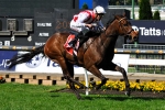 Aurie’s Star To Shed Light On Spring Features Aurie’s Star To Shed Light On Spring Features