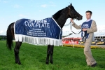 So You Think Features In Cox Plate Nominations