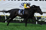 Arnold Seeks Eclipse Stakes Ride Aboard So You Think Arnold Seeks Eclipse Stakes Ride Aboard So You Think