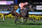 Black Caviar Key To Mornington’s Melbourne Cup Day Success