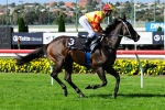 Three Way Boilover In Prime Ministers Cup Three Way Boilover In Prime Ministers Cup