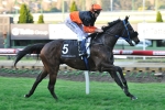 No Complacency From Kav In Turnbull Stakes Draw