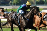 Thompson Tackles Two States With Stable Stars Thompson Tackles Two States With Stable Stars