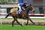 Atlantic Jewel heading to Cox Plate