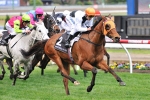 Cox Plate A Possibilty For Woorim