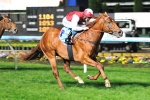 Sepoy Won’t Face Black Caviar In Patinack Classic