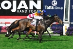 Ocean Challenger Breaks Losing Streak In Cox Plate Day Style Ocean Challenger Breaks Losing Streak In Cox Plate Day Style