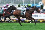 Testa My Patience Heads To Emirates Stakes After Valley Win