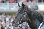 So You Think Destined For Irish Champion Stakes Start So You Think Destined For Irish Champion Stakes Start