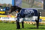 Quarantine Still Blocking So You Think’s Cox Plate