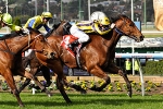 A perfect Manikato Stakes preparation for Bel Sprinter