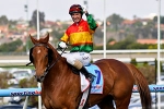 The Bargain Horses with Big Cox Plate Hopes The Bargain Horses with Big Cox Plate Hopes