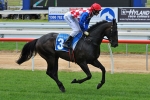 Hot Spin Chooses McKenzie Over Sepoy Hot Spin Chooses McKenzie Over Sepoy