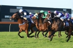 Last chance for Melbourne Cup hopefuls on Saturday Last chance for Melbourne Cup hopefuls on Saturday