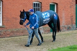 Nolen to join Moody and Black Caviar at Newmarket