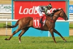 2018 Mornington Cup Results: Kings Will Dream Into Caulfield Cup 2018 Mornington Cup Results: Kings Will Dream Into Caulfield Cup