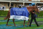 Begg Aims Top Duo At Cox Plate Glory Begg Aims Top Duo At Cox Plate Glory