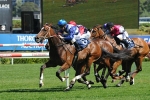 Freedman and Rogerson partnership to have first runner at Rosehill