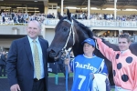 Black Caviar Named 2011 Victorian Horse of the Year