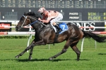 Black Caviar On Course For Schillaci Stakes Start