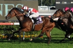 $1M Stradbroke Not Enough To Tempt Smith