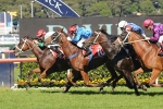 Astonishing Doncaster Prelude Win From 180 to 1 Roughie Astonishing Doncaster Prelude Win From 180 to 1 Roughie