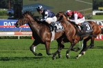 Shamrocker Charge Leaves Moroney Shakey Shamrocker Charge Leaves Moroney Shakey