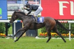 Kent’s 2011 Caulfield Cup trio best in wet