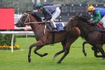 Waller Import Sucess Born Of Humble Beginnings Waller Import Sucess Born Of Humble Beginnings
