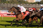 Soggy Rosehill To Break Vision & Power’s Drought Soggy Rosehill To Break Vision & Power’s Drought