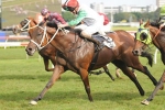 Caulfield Cup Weights Far From Certain Caulfield Cup Weights Far From Certain